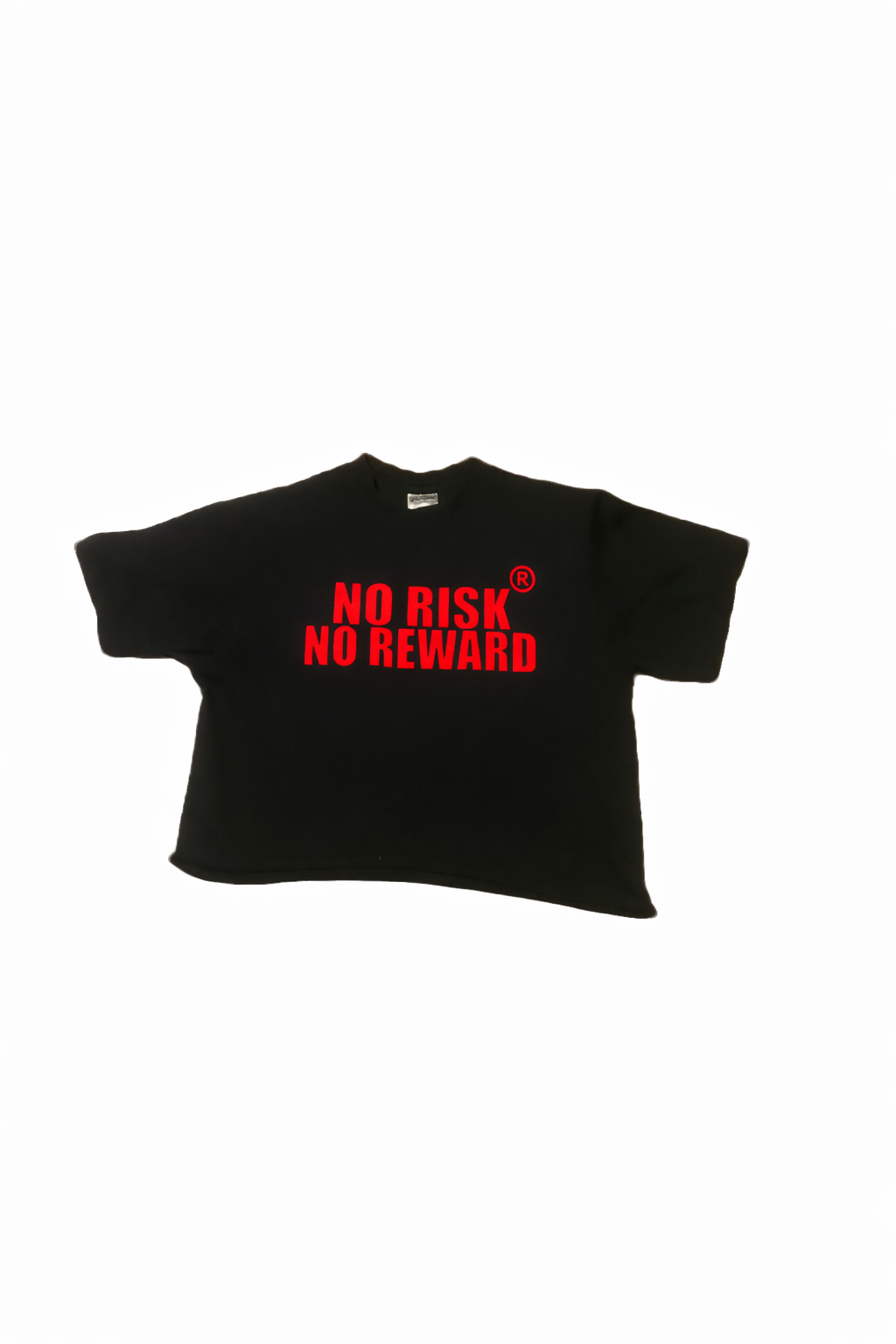 “NO RISK NO REWARD” Men’s tee