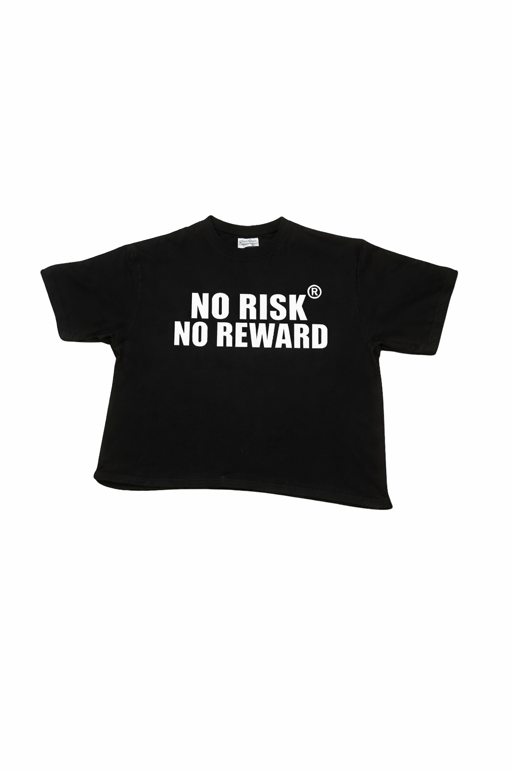 "NO RISK NO REWARD" Mens tee